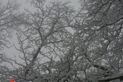 snow2