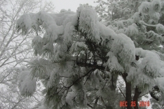 snow4