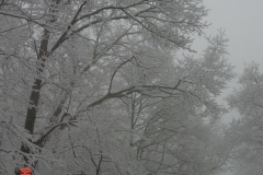 snow5
