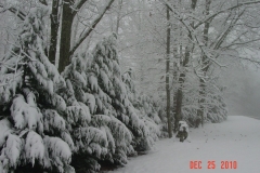 snow6