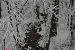 snow7