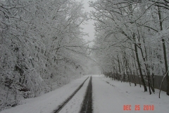 snow8