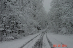 snow9